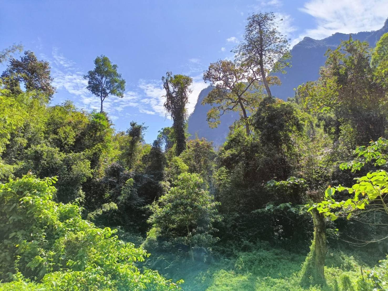 Khao Sok River & Jungle Bungalow Khao Sok National Park Kültér fotó
